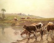 文萨斯雷瓦斯拉夫布若茨客 - Cattle In A Pasture